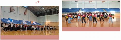 yth206��ͧ��(�й�)�ٷ���վ